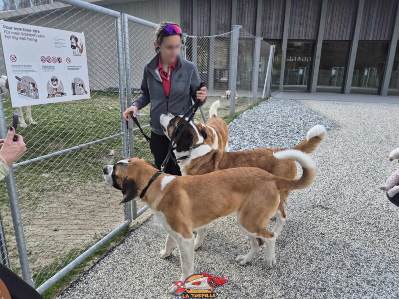 Barry Joueur, Barryland, Martigny