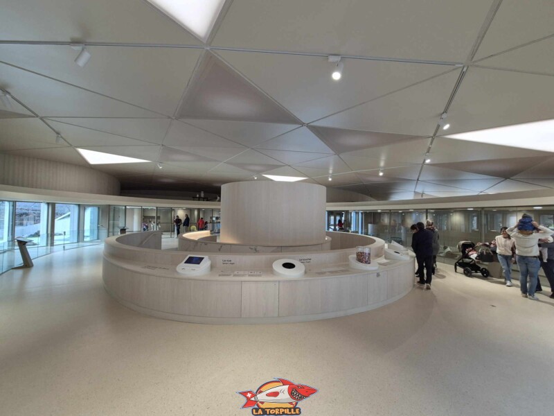 Barry Chéri, Barryland, Martigny