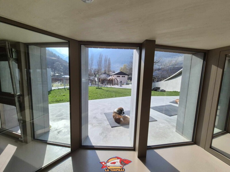 Barry Chéri, Barryland, Martigny