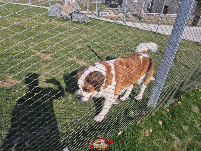 Barry Joueur, Barryland, Martigny