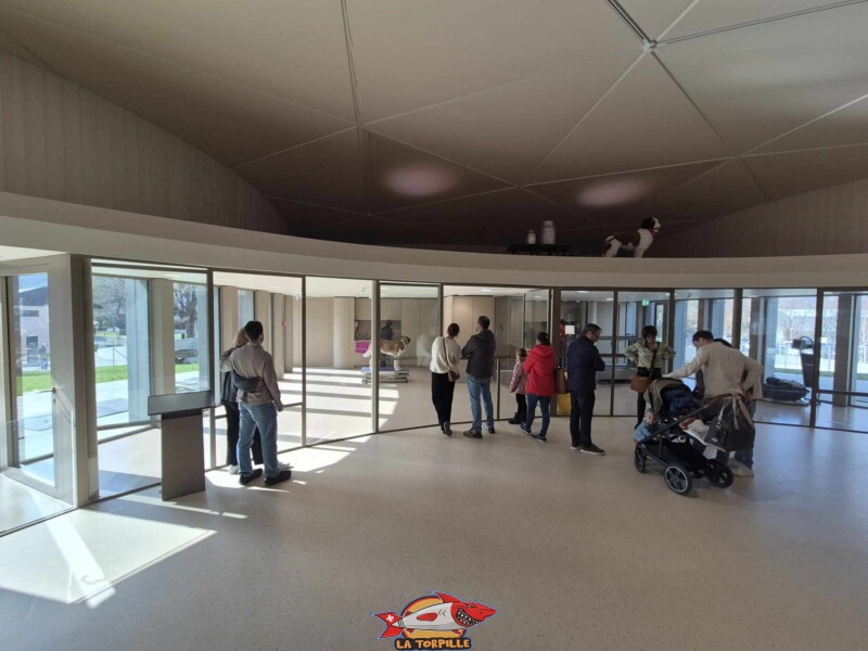 Barry Chéri, Barryland, Martigny