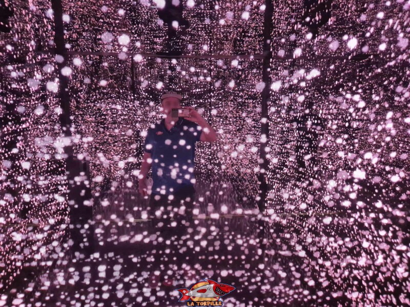 Barry Sauveteur, Barryland, Martigny. L'Infinity Room.