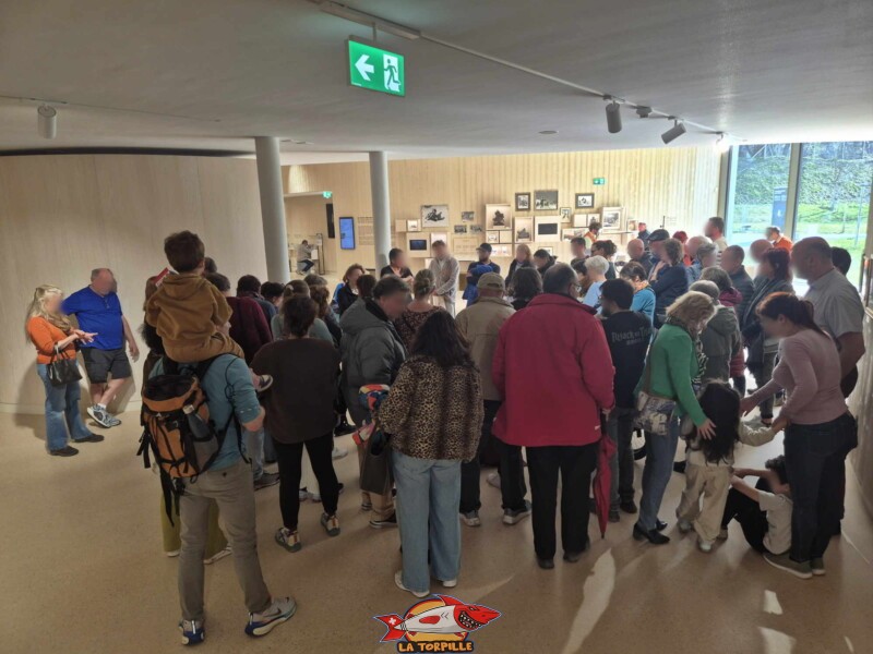 Barry Sauveteur, Barryland, Martigny. Une visite guidée.