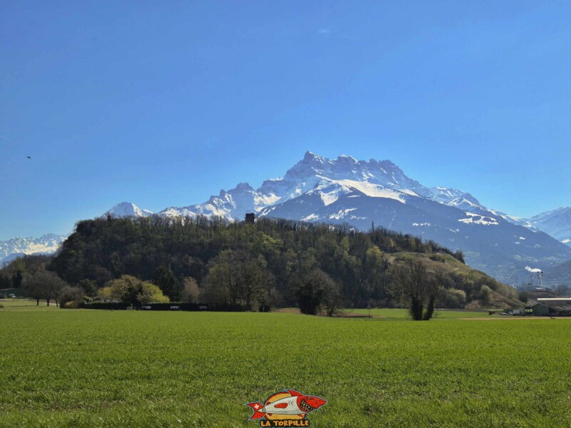 La tour de St-Triphon depuis le nord.