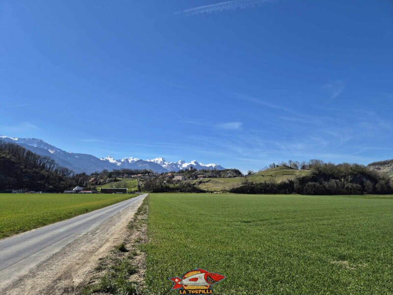 La tour de St-Triphon depuis le sud-est.