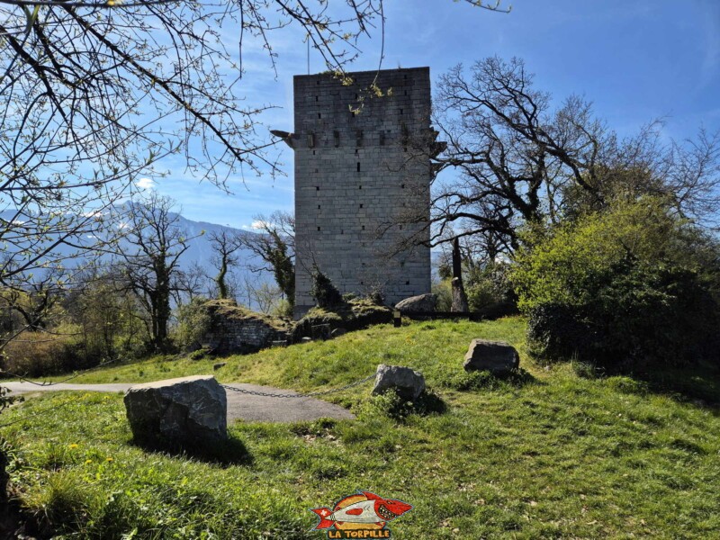 Photo du côté est de la tour de St-Triphon.
