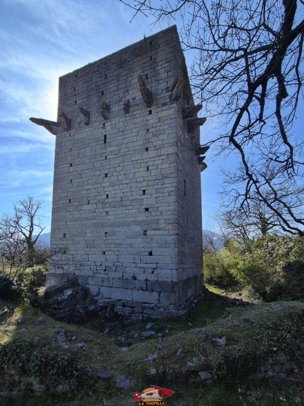 Photo du côté est de la tour de St-Triphon.