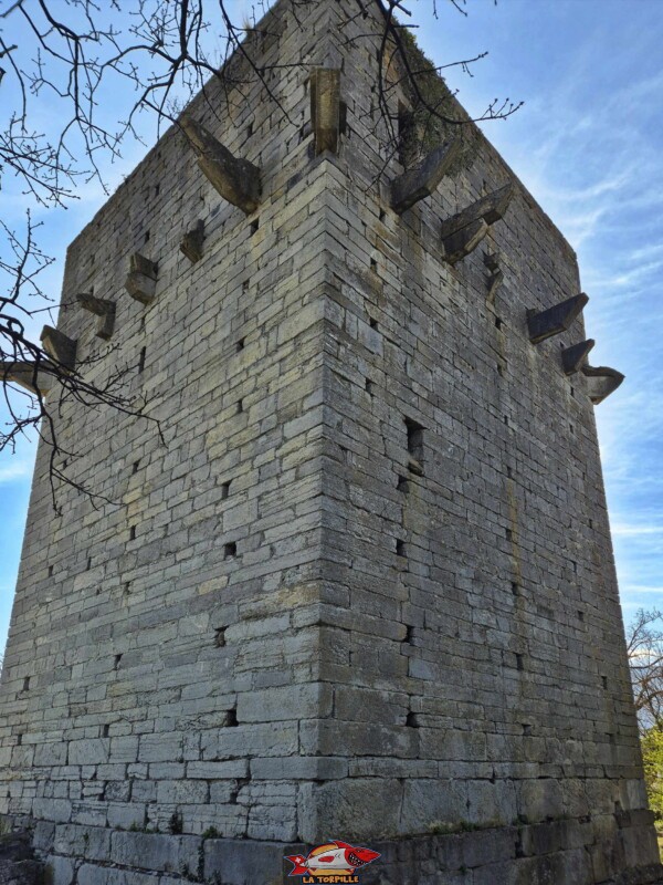 On remarque des pierres saillantes au sommet de la tour. On remarque des pierres saillantes au sommet de la tour.