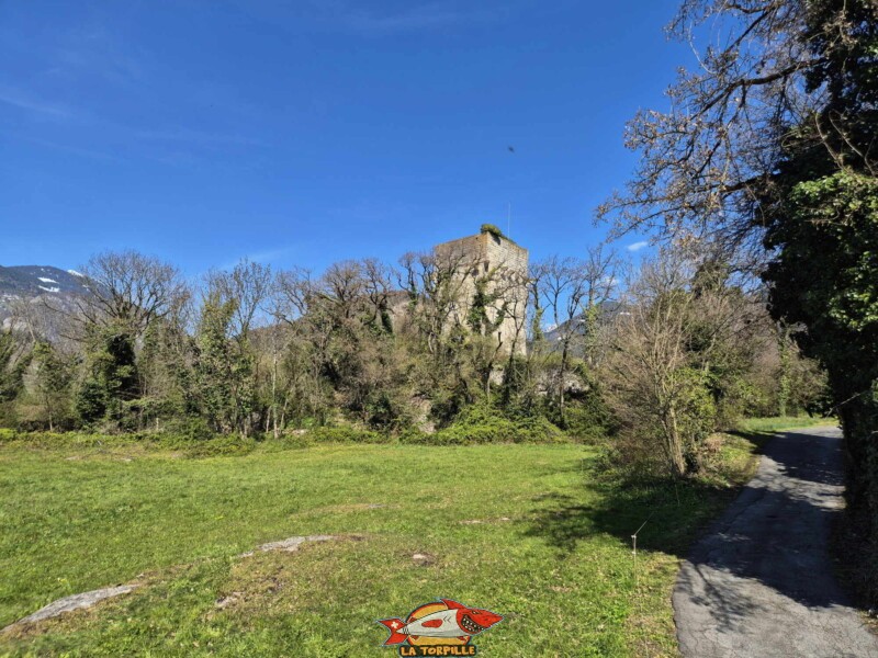 La route juste avant d'arriver à la tour. La route juste avant d'arriver à la tour. St-TRiphon