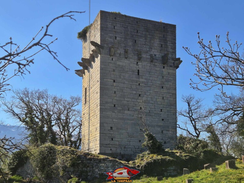 Photo du côté sud de la tour de St-Triphon.