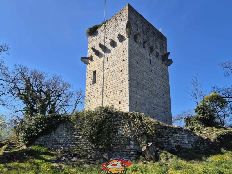 La tour de St-Triphon. La tour de St-Triphon.