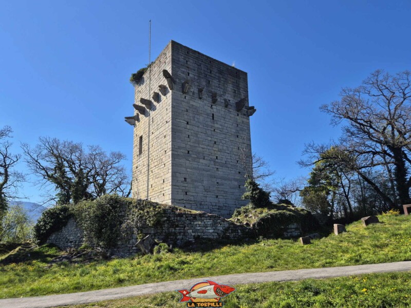 La tour de St-Triphon.