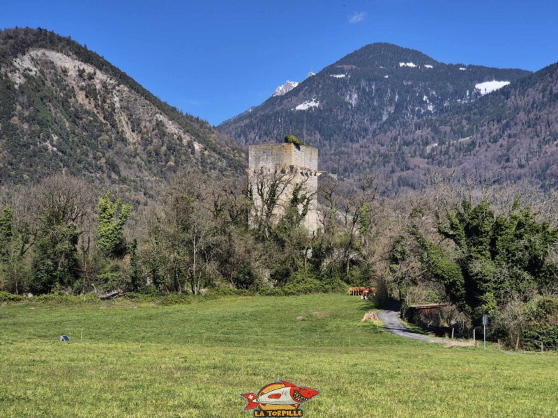 Photo du côté sud de la tour de St-Triphon.