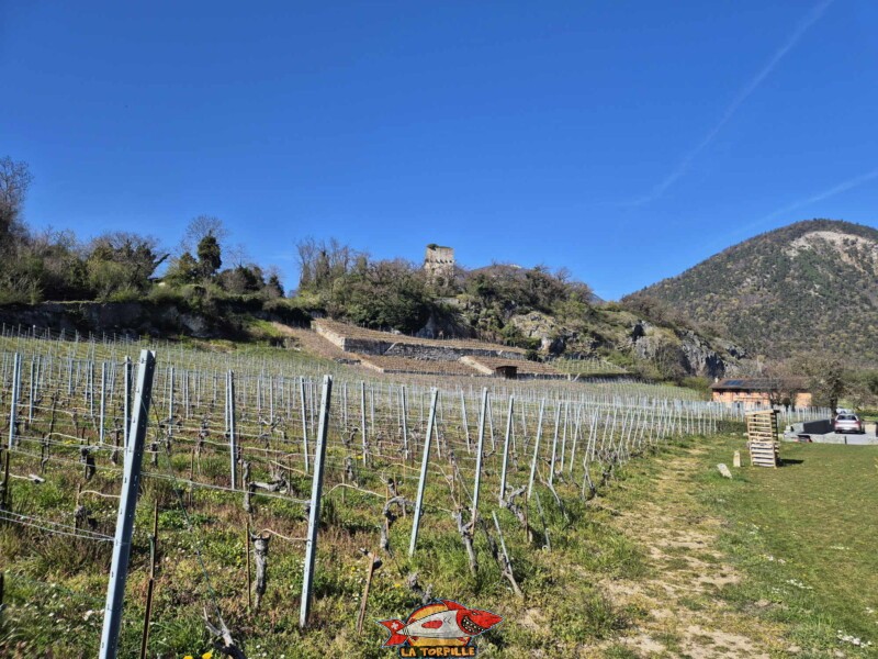 La tour de St-Triphon depuis le sud-ouest, dans le village de St-Triphon.