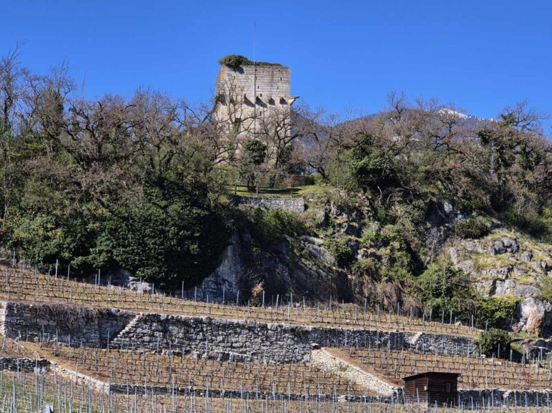 La tour de St-Triphon depuis le sud-ouest, dans le village de St-Triphon.