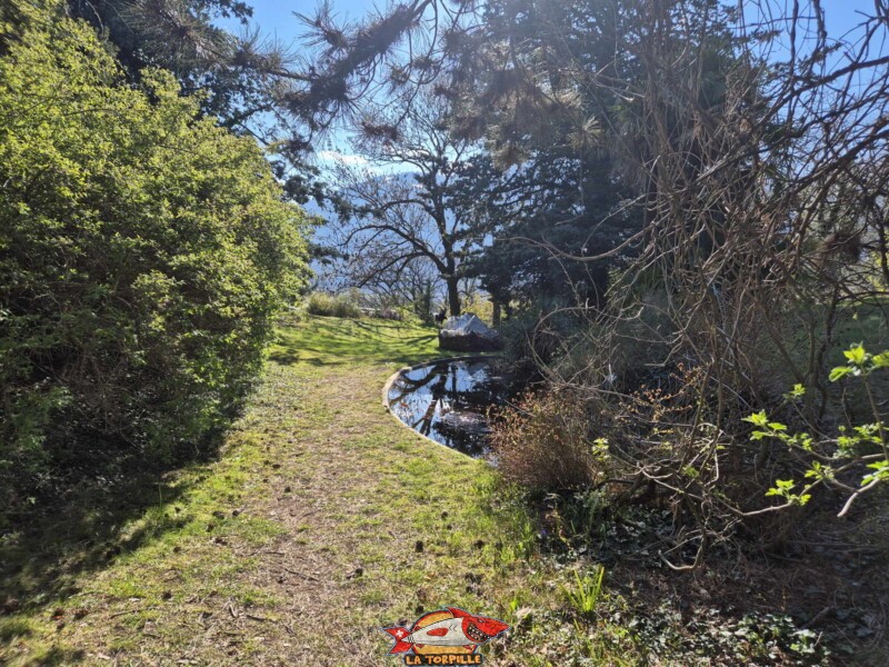 Jardin botanique de St-Triphon