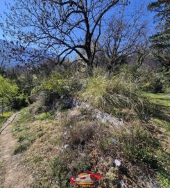 🌼 Jardin Botanique de St-Triphon