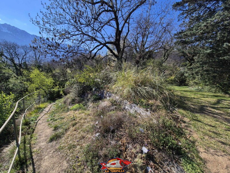 Jardin botanique de St-Triphon