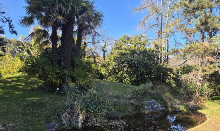 🌼 Jardin Botanique de St-Triphon
