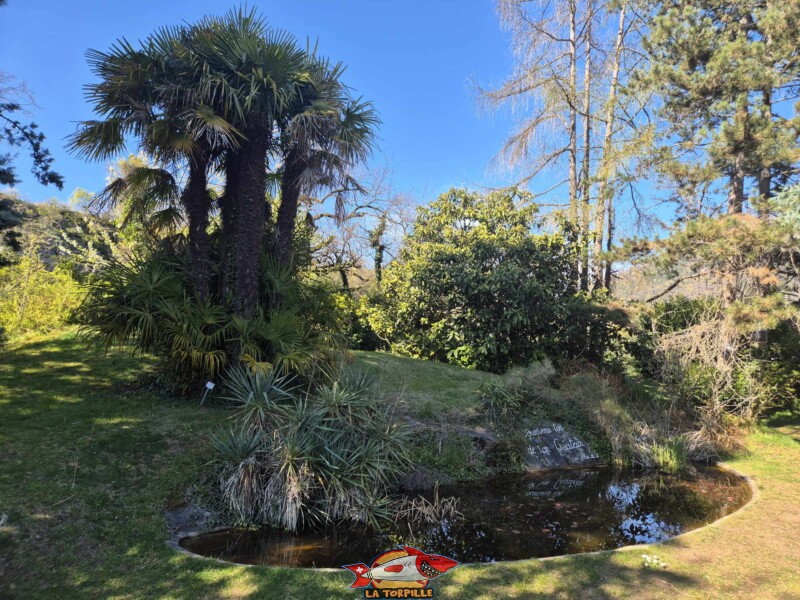 Le jardin botanique de St-Triphon. Il est idéal de le visiter en fin de printemps et en été.