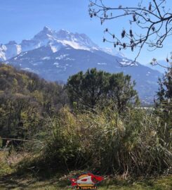 🌼 Jardin Botanique de St-Triphon