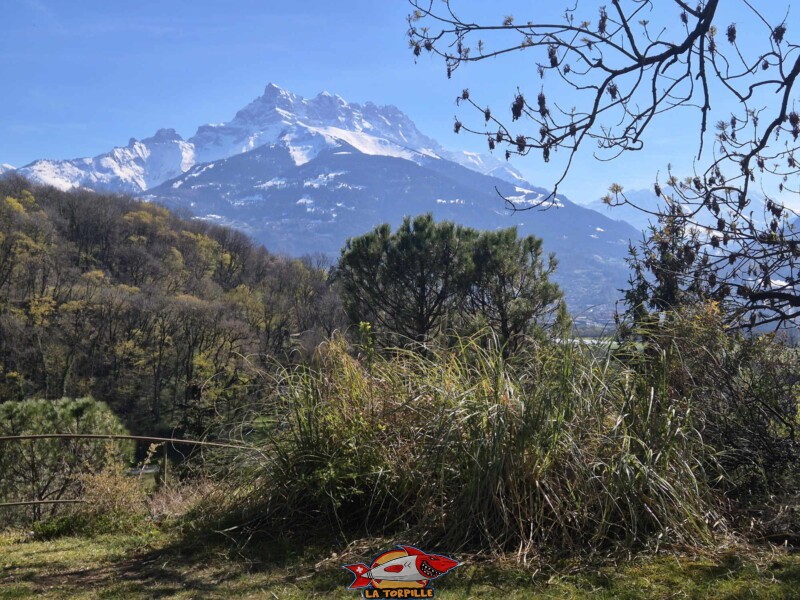 La vue sur les Dents du Midi depuis le Jardin botanique. St-TRiphon