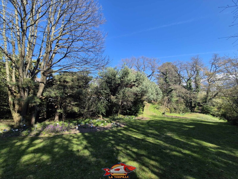 Jardin botanique de St-Triphon