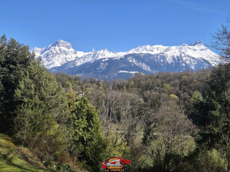 Le Grand Muveran (gauche) et les Dents de Morcles (droite), depuis le Jardin botanique. St TRiphon