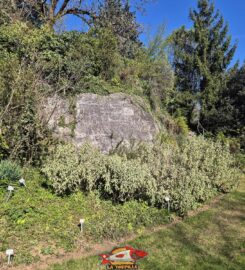 🌼 Jardin Botanique de St-Triphon