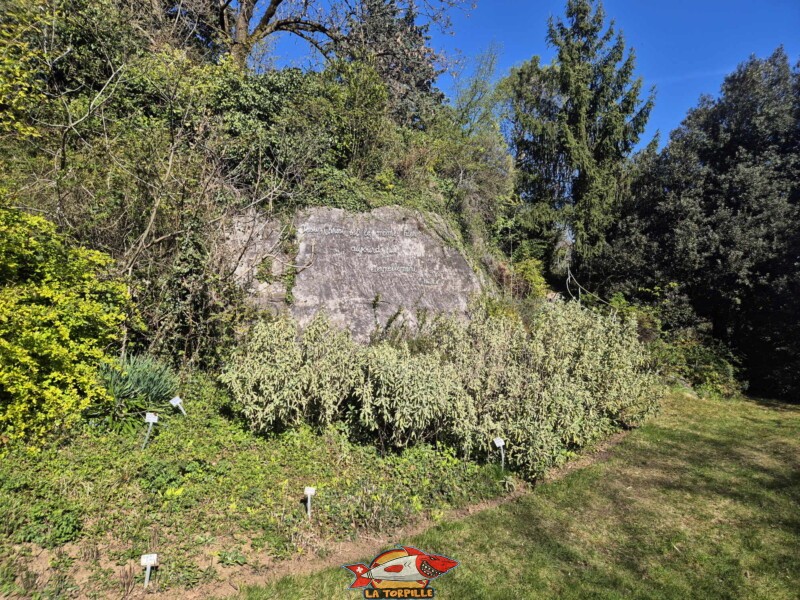 Jardin botanique de St-Triphon