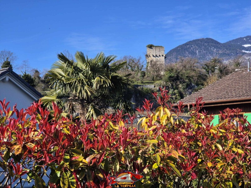 La tour de St-Triphon depuis le sud-ouest, dans le village de St-Triphon.