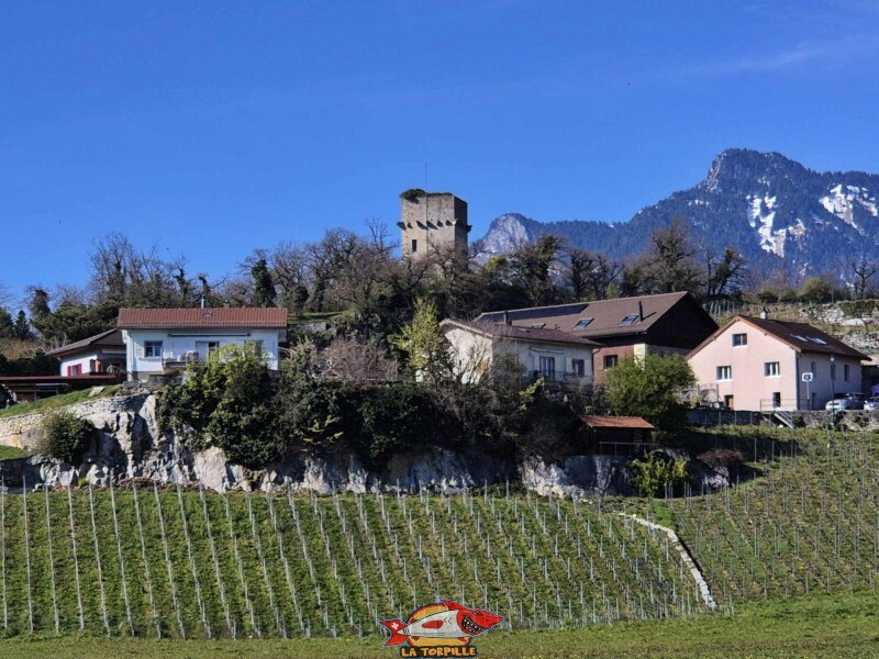 La tour de St-Triphon depuis le sud-ouest, dans le village de St-Triphon.