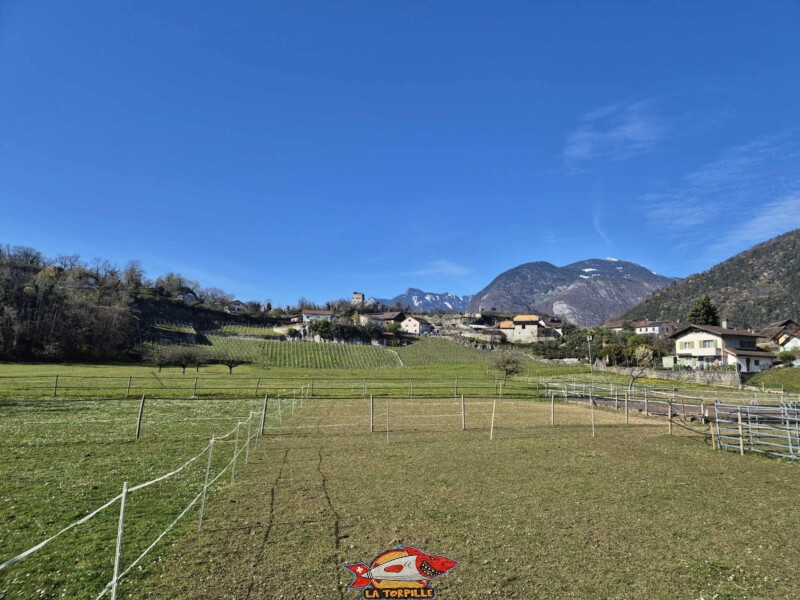 La tour de St-Triphon depuis le jardin botanique.