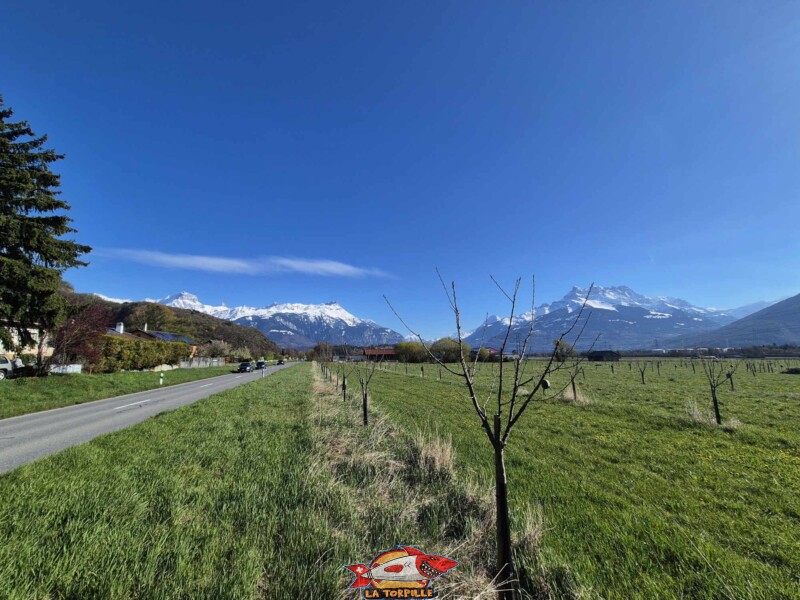 La tour de St-Triphon depuis le nord-ouest.