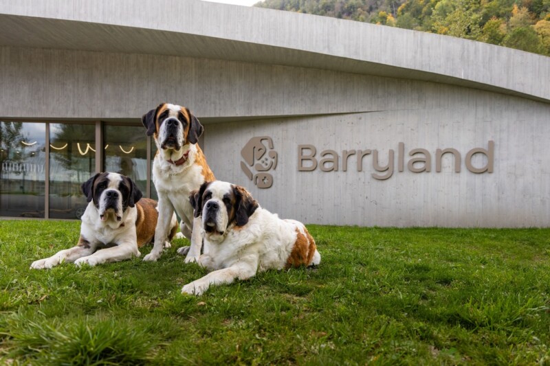 L'entrée de Barryland avec des chiens St-Bernar