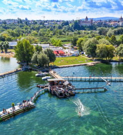 🌊 Alphasurf Estavayer-le-Lac