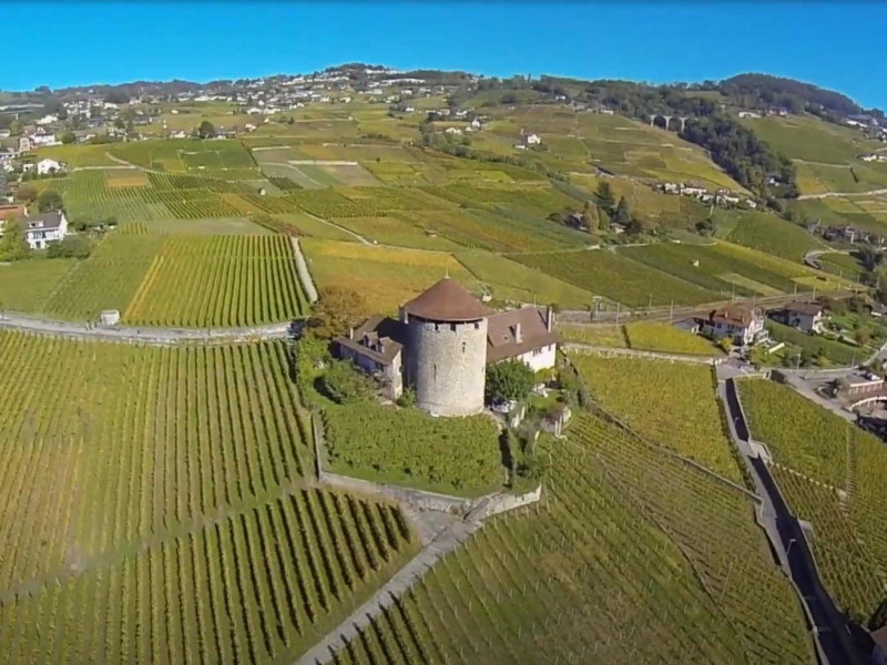 La tour Bertholod avec le vignoble du Lavaux.