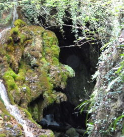 ⛰️🕸️ Gorges de la Salentze et Caverne des Géants