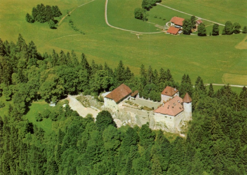 Vue d'avion du château.