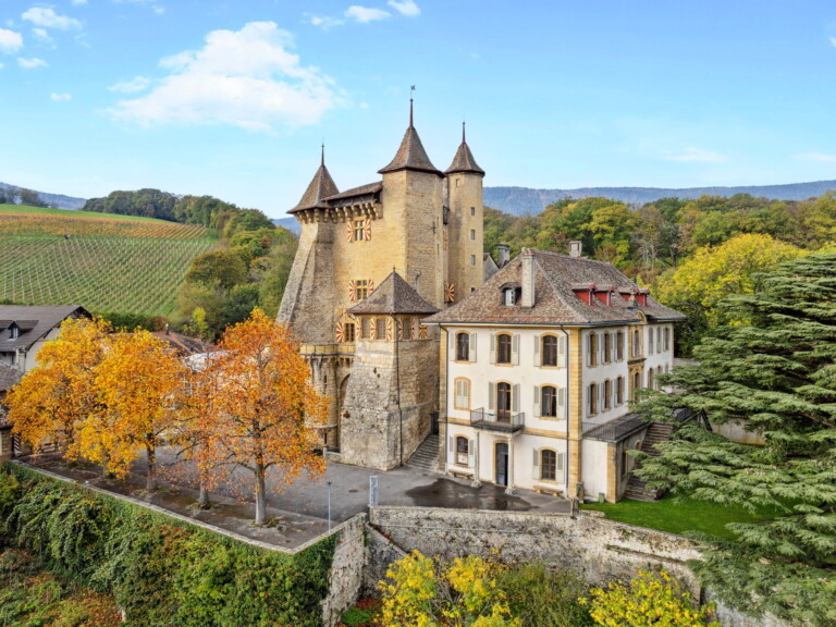 chateau vaumarcus drone
