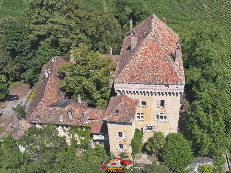vue de drone, côté ouest, château du châtelard, montreux