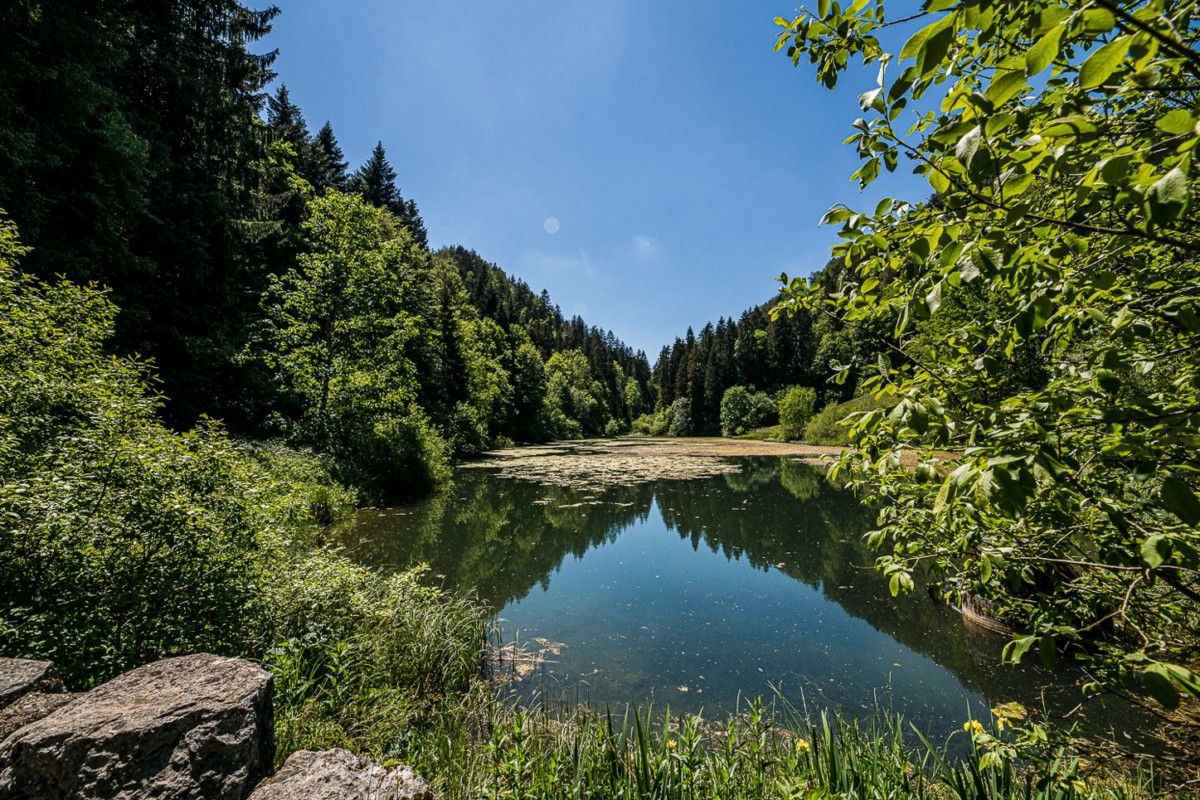 L'étang de Bollement à Saint-Brais