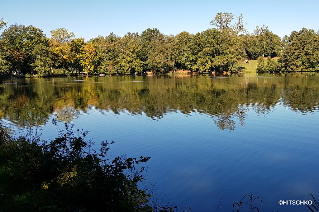L'étang du Milieu à Bonfol.
