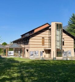 🎨🏺🚌 Fondation Pierre Gianadda – Martigny