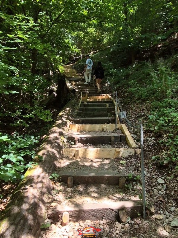 Les "terribles" marches d'escalier pour atteindre le parc animalier depuis les gorges.