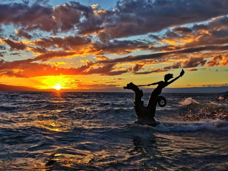 Un hippocampe lors d'un coucher de soleil !