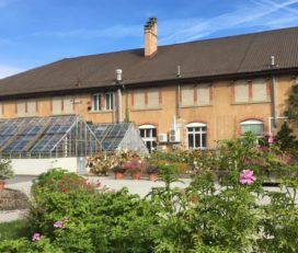 🌼 Jardin Botanique de l’Université de Fribourg