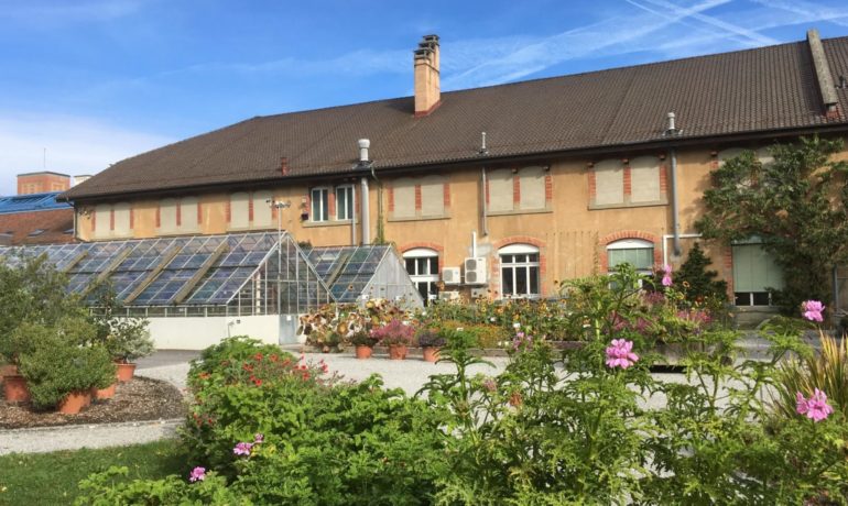 🌼 Jardin Botanique de l’Université de Fribourg