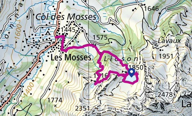 Une randonnée en montagne permet de partir du col des Mosses et se rendre au lac Lioson et retour en 8.7 km et 3 h 10 de marche. (Dénivelé positif : 620 m)
