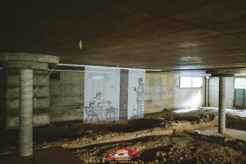 Le Domus Minerva